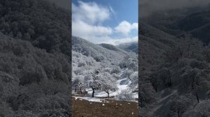 Это природа удивляет меня своей красотой #природа