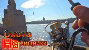 ОКУНЬ СУДАК НЕВА ОТВОДНОЙ РАСКАЧАЛ ХИЩНИКА ТОЧКИ НА КЛЁВ ТРОФЕЙНЫЕ ЗА 2 КГ РВУТ СНАСТИ ВО 2 ЧАСТИ