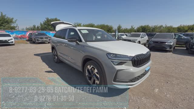 ЭТА ШКОДА НАС ОЧЕНЬ СИЛЬНО и ПРИЯТНО УДИВИЛА! Впервые столкнулись с этим в новой SKODA KODIAQ 2025