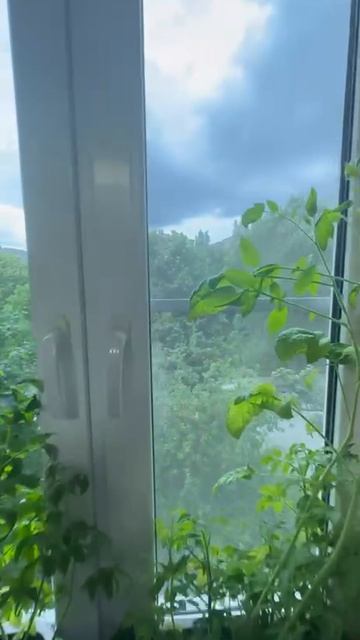 Грига 3 Двухкомнатная кв.