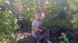 Нестеренко Артём, 6 лет. Н. М. Рубцов. "Берёзы"