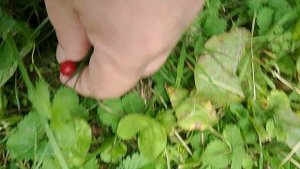 Что за ягода в августе?