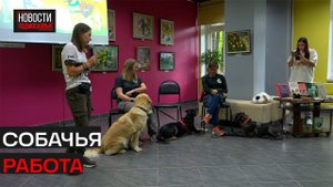 Поисково-кинологическая группа «Север» рассказала о своей работе жителям Истринского округа