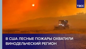 В США лесные пожары охватили винодельческий регион