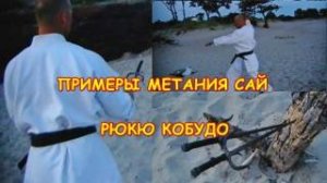 Окинавское кобудо. Примеры метания сай