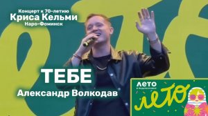 "ТЕБЕ" Александр Волкодав - концерт к 70-летию Криса Кельми - Наро-Фоминск 24.08.2025