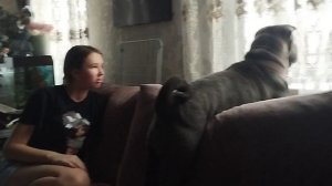 Когда закончатся закатки ???🤦