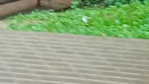 VID_20250823_180622.mp4