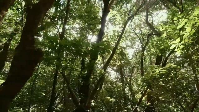 26 августа - День, который нельзя проживать _Как всегда_