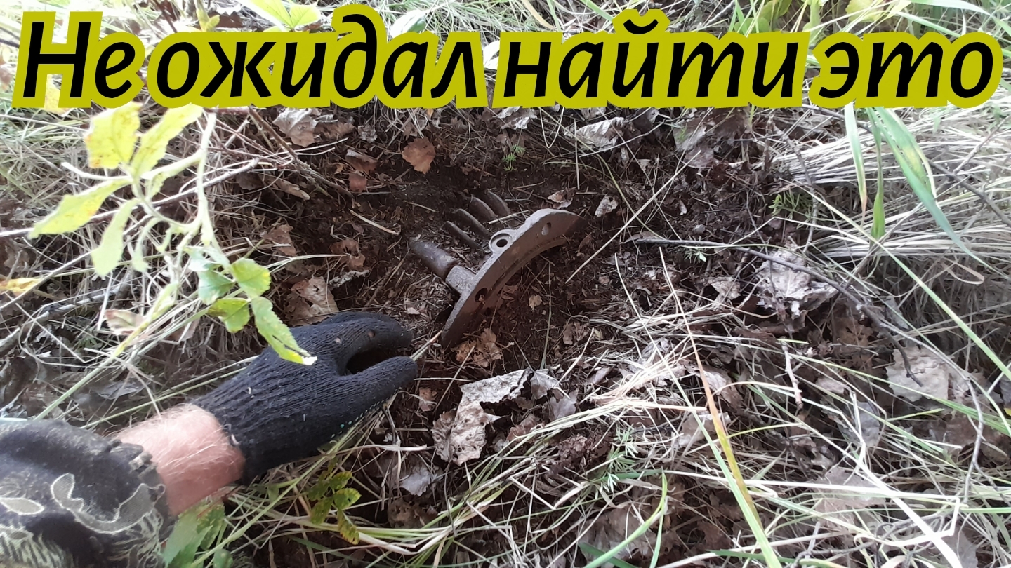 Неожиданная находка на полях