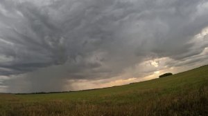 2025_08_10_Ульяновск охота - Trim