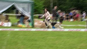 HDV_5764памятилакатошсукаветеранБрава