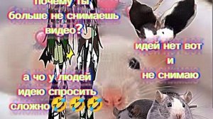 Вот вам видосик, идей нет. У меня день рождения скоро (28 августа), простите что долго не снимала.😔