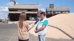 Тюменские фермеры завершают уборку гороха