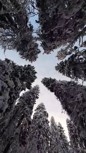 #зима #морозы #карелия смотреть онлайн