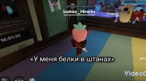 АХАХАХАХАХАХ, БЕДНАЯ ШЕЛЛИ 😸