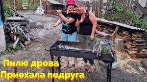 ПИЛЮ ДРОВА / ЗАЛЕЗ НА КРЫШУ / ПРИЕХАЛА ПОДРУГА (25 СЕРИЯ)