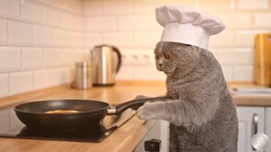 Утро, которое мы заслужили