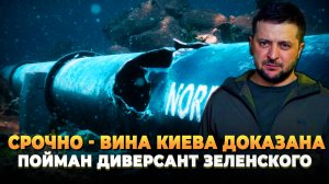 СРОЧНО - Вина Киева доказана 0 пойман диверсант Зеленского