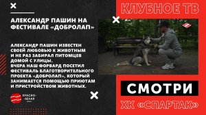 Александр Пашин на фестивале «Добролап».