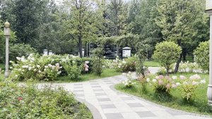 Парк Отрадное.