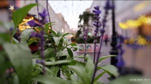 Мокрый ☔💦город   ❤️