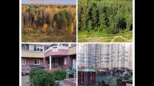 10 Игорь риелтор Москва +79037214827