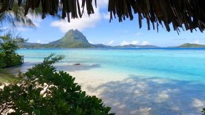 Вид на пляж: 3 часа наслаждения атмосферой Бора-Бора и тихими звуками океана