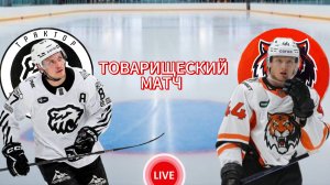 ХОККЕЙ ТОВАРИЩЕСКИЙ МАТЧ.  ТРАКТОР - АМУР.  ПРЯМАЯ ТРАНСЛЯЦИЯ