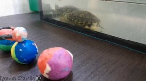 Countryballs пластилиновом мире 1 сезон 2 серия《Путешествие》