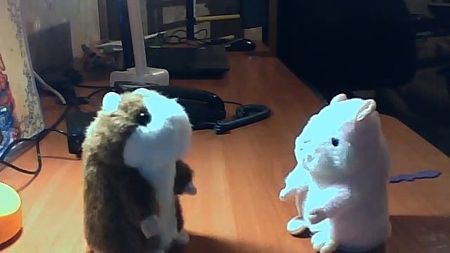 Хомяки говорящие смотреть онлайн