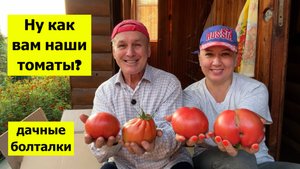 О возвратах на ВБ, сковородках и не только. Наш урожай и болталки на даче