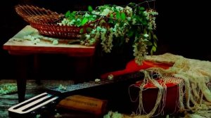 Белой акации гроздья душистые...