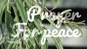 Prayer For Peace