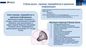 Нейроурок 2