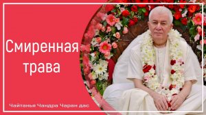 Смиренная трава