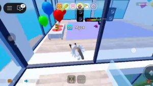 Обнова в игре с котятами в роблокс