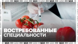 Нейросеть Алиса назвала 5 самых перспективных специальностей - Москва 24