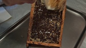 Наша пасека!