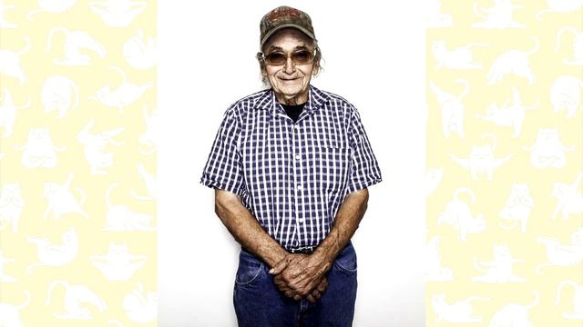 5 интересных фактов о кошках