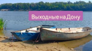 выходные на Дону в большой компании