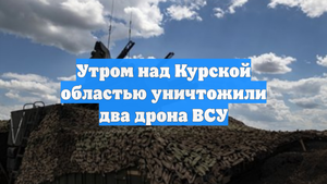 Утром над Курской областью уничтожили два дрона ВСУ