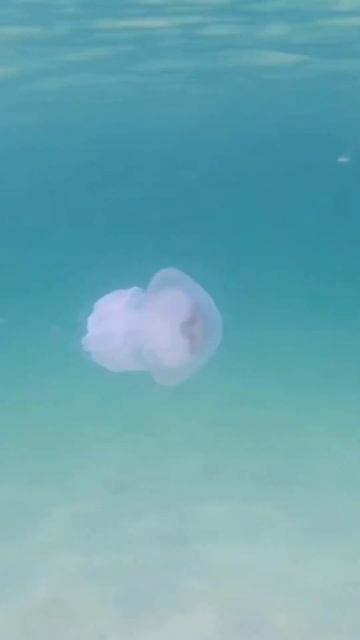 #море #пляж #крым #shorts смотреть онлайн