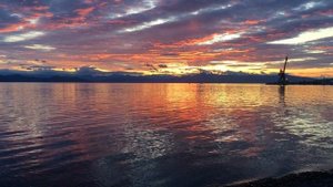 1012. 🎼 «Toccata & Fugue in D Minor, BWV 565» - Nemanja Radulović