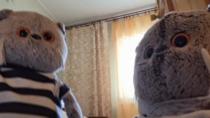 мы про следили за басиками