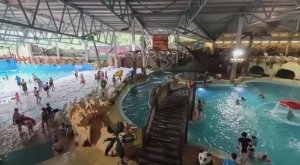 Чудо-праздник в «Чудо-острове»