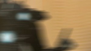 Эдит с титаном камерой эдит мой