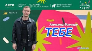 "Тебе" - исп.Александр Волкодав #нарофоминск 24/08/2025 Концерт в Наро-Фоминске #александрволкодав