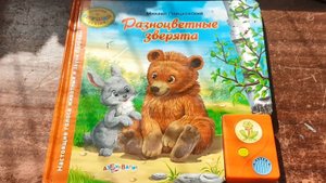 Ремонт аудио книжек.