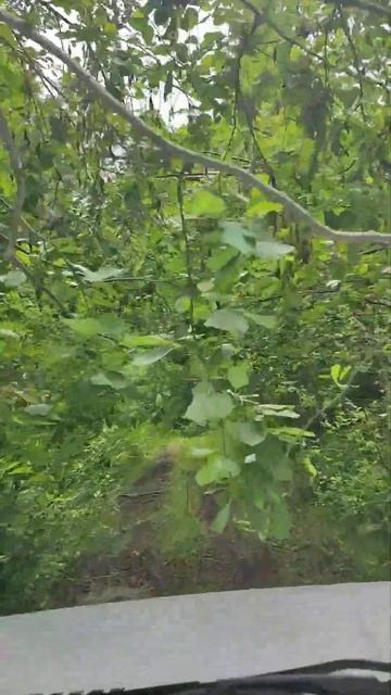 #нива #нивалегенд #4x4 #shorts смотреть онлайн